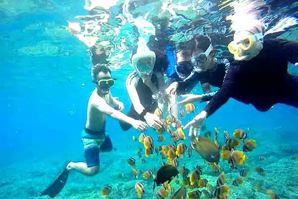 Nusa Penida West Tour with Snorkeling All Inclusive